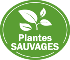 Plantes_sauvages.png